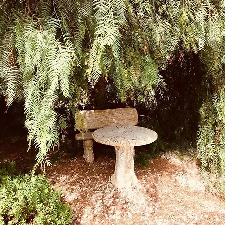 Finca Las Flores Ла-Дегольяда