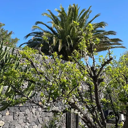 Finca Las Flores *