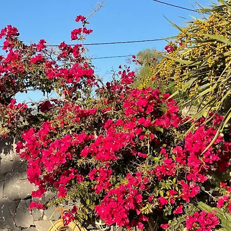 Finca Las Flores