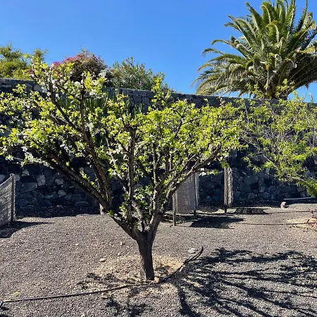 Finca Las Flores La Degollada